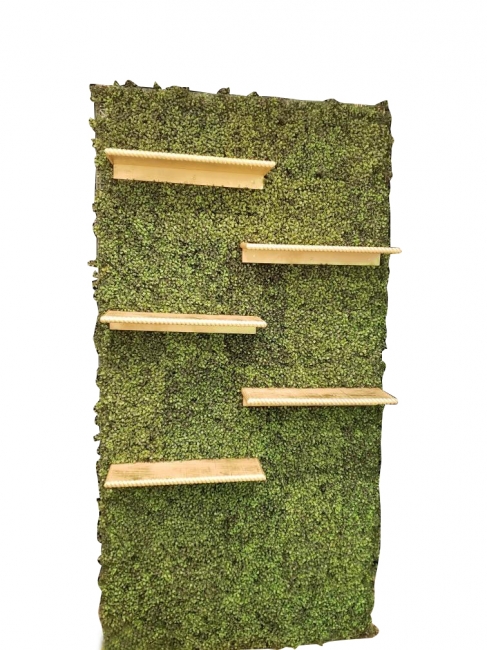Grass Wall with Wood Shelves