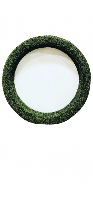 Round Boxwood Wall with White Center